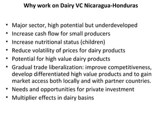 Update on Dairy Value Chain development in Nicaragua and Honduras