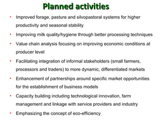 Update on Dairy Value Chain development in Nicaragua and Honduras