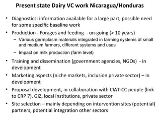 Update on Dairy Value Chain development in Nicaragua and Honduras