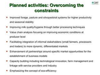 Update on dairy value chain development in Nicaragua and Honduras