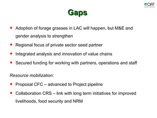 Update on dairy value chain development in Nicaragua and Honduras
