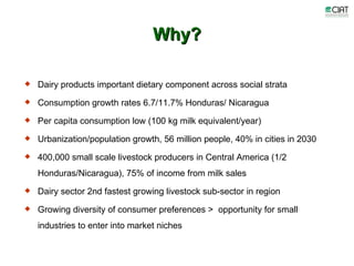 Update on dairy value chain development in Nicaragua and Honduras