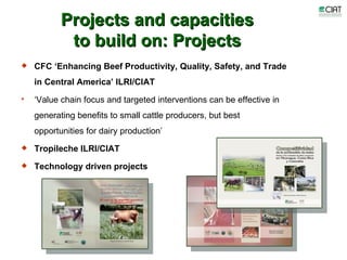 Update on dairy value chain development in Nicaragua and Honduras