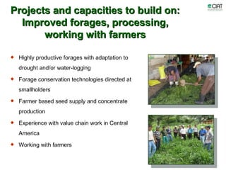 Update on dairy value chain development in Nicaragua and Honduras