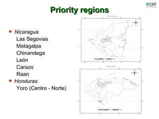 Update on dairy value chain development in Nicaragua and Honduras
