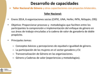 Género en cadenas de valor ganadería de doble propósito en Nicaragua