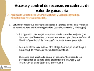 Género en cadenas de valor ganadería de doble propósito en Nicaragua