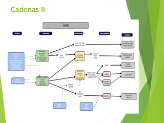 Análisis de cadenas de la leche en Nicaragua:Madriz, Nueva Segovia, Jinotega y Matagalpa