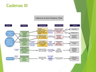Análisis de cadenas de la leche en Nicaragua:Madriz, Nueva Segovia, Jinotega y Matagalpa