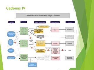 Análisis de cadenas de la leche en Nicaragua:Madriz, Nueva Segovia, Jinotega y Matagalpa