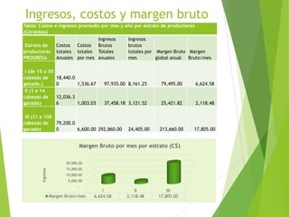 Análisis de cadenas de la leche en Nicaragua:Madriz, Nueva Segovia, Jinotega y Matagalpa