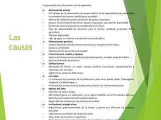 Análisis de cadenas de la leche en Nicaragua:Madriz, Nueva Segovia, Jinotega y Matagalpa