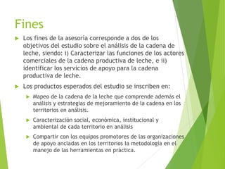 Análisis de cadenas de la leche en Nicaragua:Madriz, Nueva Segovia, Jinotega y Matagalpa