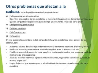 Análisis de cadenas de la leche en Nicaragua:Madriz, Nueva Segovia, Jinotega y Matagalpa