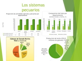 Análisis de cadenas de la leche en Nicaragua:Madriz, Nueva Segovia, Jinotega y Matagalpa