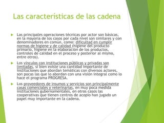Análisis de cadenas de la leche en Nicaragua:Madriz, Nueva Segovia, Jinotega y Matagalpa