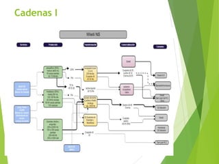 Análisis de cadenas de la leche en Nicaragua:Madriz, Nueva Segovia, Jinotega y Matagalpa