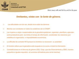 limitantes, vistas con la lente de género.
o Las dificultades son de raíz, desde inicio están las barreras.
o Muchas son constantes en todos los eslabones de la CVGDP.
o Las mujeres a cargo o responsables de la ganadería gestionan, organizan, planifican y ejecutan
como productoras pero las limita el manejo de información, escolaridad, las relaciones que
establece-lo organizativo e imposibilidades económicas.
o La dificultad de contratar M.O porque los hombres no reconocen su autoridad.
o El hombre refiere que la ganadera está ocupada en la cocina, él dará la información.
o Contradicciones en el discurso de género (OG), Coop. que dan financiamiento y ONG. (montos
pequeños e iguales requisitos, sin acciones afirmativas para cerrar brechas)
 