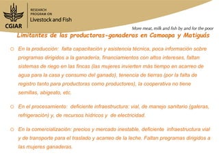 Mapeo de actores en Camoapa y Matiguás en cadenas de valor ganadería de doble propósito en Nicaragua