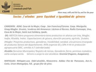 Mapeo de actores en Camoapa y Matiguás en cadenas de valor ganadería de doble propósito en Nicaragua