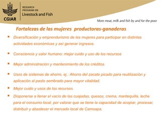 Mapeo de actores en Camoapa y Matiguás en cadenas de valor ganadería de doble propósito en Nicaragua
