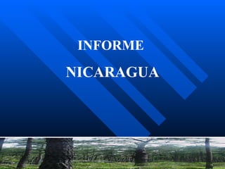 INFORME  NICARAGUA 
