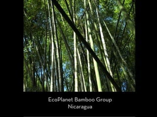 EcoPlanet Bamboo - Nicaragua Bamboo Plantations Overview