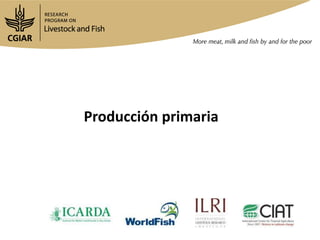 Análisis situacional de cadenas de valor de ganadería de doble propósito en Nicaragua