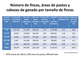 Análisis situacional de cadenas de valor de ganadería de doble propósito en Nicaragua