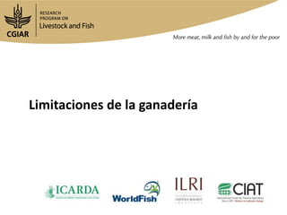 Análisis situacional de cadenas de valor de ganadería de doble propósito en Nicaragua