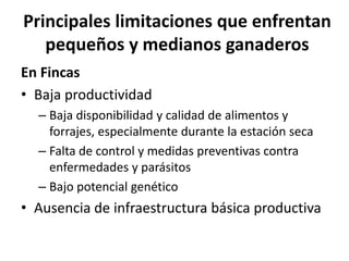 Análisis situacional de cadenas de valor de ganadería de doble propósito en Nicaragua