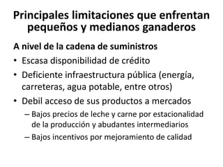 Análisis situacional de cadenas de valor de ganadería de doble propósito en Nicaragua