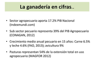 Análisis situacional de cadenas de valor de ganadería de doble propósito en Nicaragua