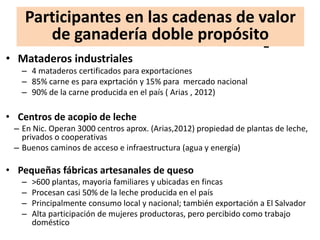 Análisis situacional de cadenas de valor de ganadería de doble propósito en Nicaragua