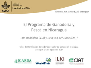 El Programa de Ganadería y
Pesca en Nicaragua
Tom Randolph (ILRI) y Rein van der Hoek (CIAT)
Taller de Planificación de Cadenas de Valor de Ganado en Nicaragua
Managua, 5-6 de agosto de 2014
 