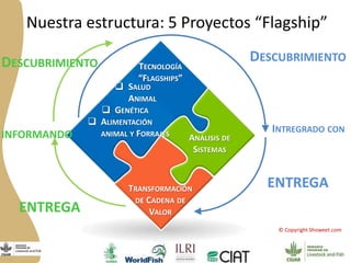  El Programa de Ganadería y Pesca en Nicaragua