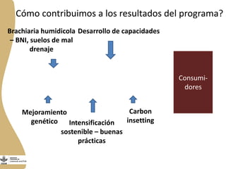  El Programa de Ganadería y Pesca en Nicaragua