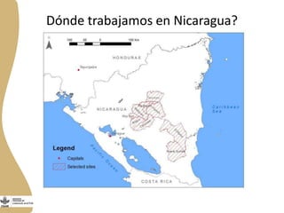  El Programa de Ganadería y Pesca en Nicaragua