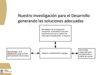  El Programa de Ganadería y Pesca en Nicaragua