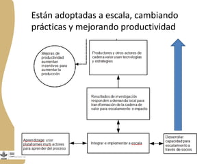  El Programa de Ganadería y Pesca en Nicaragua