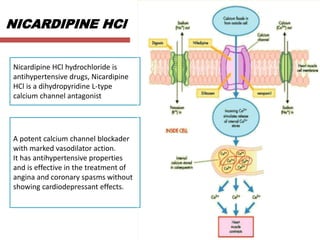 NICARDIPINE HCl
Nicardipine HCl hydrochloride is
antihypertensive drugs, Nicardipine
HCl is a dihydropyridine L-type
calcium channel antagonist
A potent calcium channel blockader
with marked vasodilator action.
It has antihypertensive properties
and is effective in the treatment of
angina and coronary spasms without
showing cardiodepressant effects.
 