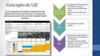 Concepto de LIE
Es un espectro de cambios neoplásicos del
epitelio del cérvix uterino que se reconocen
como precursores del carcinoma epidermoide
invasivo.
NIC 1 LIE de
bajo grado,
• compromete el tercio inferior
del epitelio y se asocia
generalmente a PVH de bajo
riesgo.
• Regresiona en el 85% de los
casos.
NIC2
• compromete los 2/3 del
epitelio.
NIC3
• Compromete todo el espesor
del epitelio, se consideran LIE
de alto grado.
• Alrededor del 25% de NIC3
progresa a carcinoma invasivo
el el transcurso de los
siguientes 10 años.
 