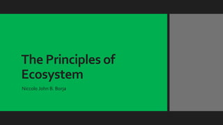 The Principles of
Ecosystem
Niccolo John B. Borja
 