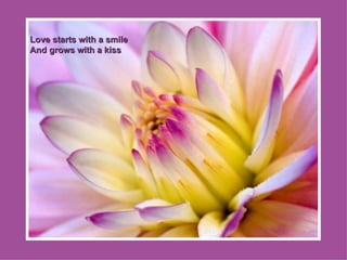 Love starts with a smile  And grows with a kiss 