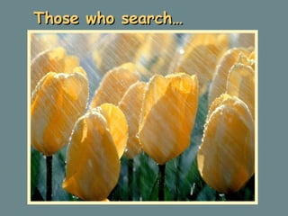 Those who search… 