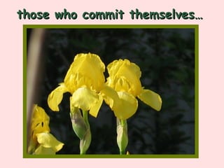 those who commit themselves… 
