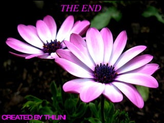 THE END CREATED BY THILINI 