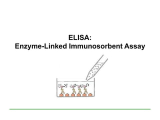 ELISA:
Enzyme-Linked Immunosorbent Assay
 