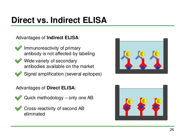 western blot test and elisa test