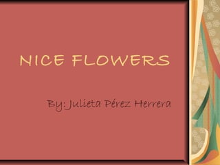 NICE FLOWERS 
By: Julieta Pérez Herrera 
 